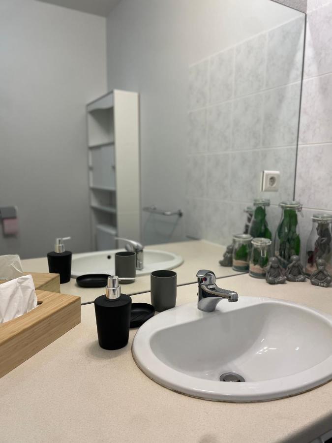 Appartement Calme Au Coeur De La Ville ロン・ル・ソーニエ エクステリア 写真