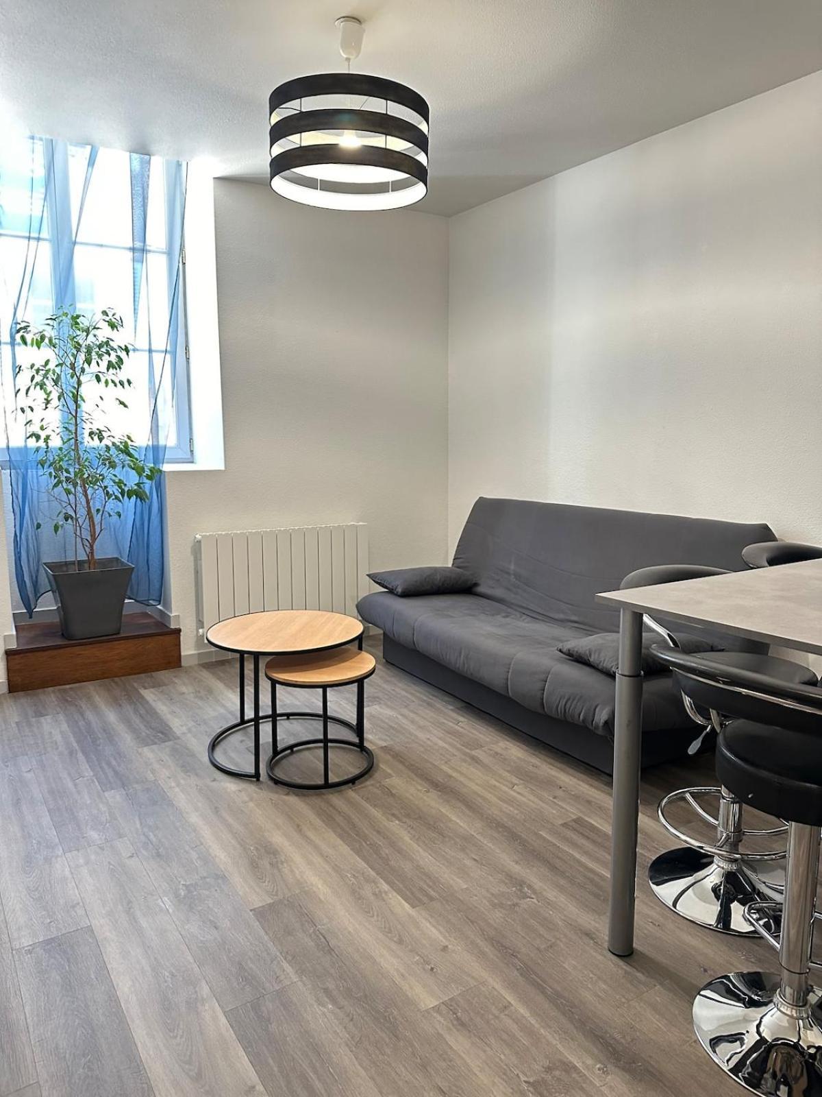 Appartement Calme Au Coeur De La Ville ロン・ル・ソーニエ エクステリア 写真