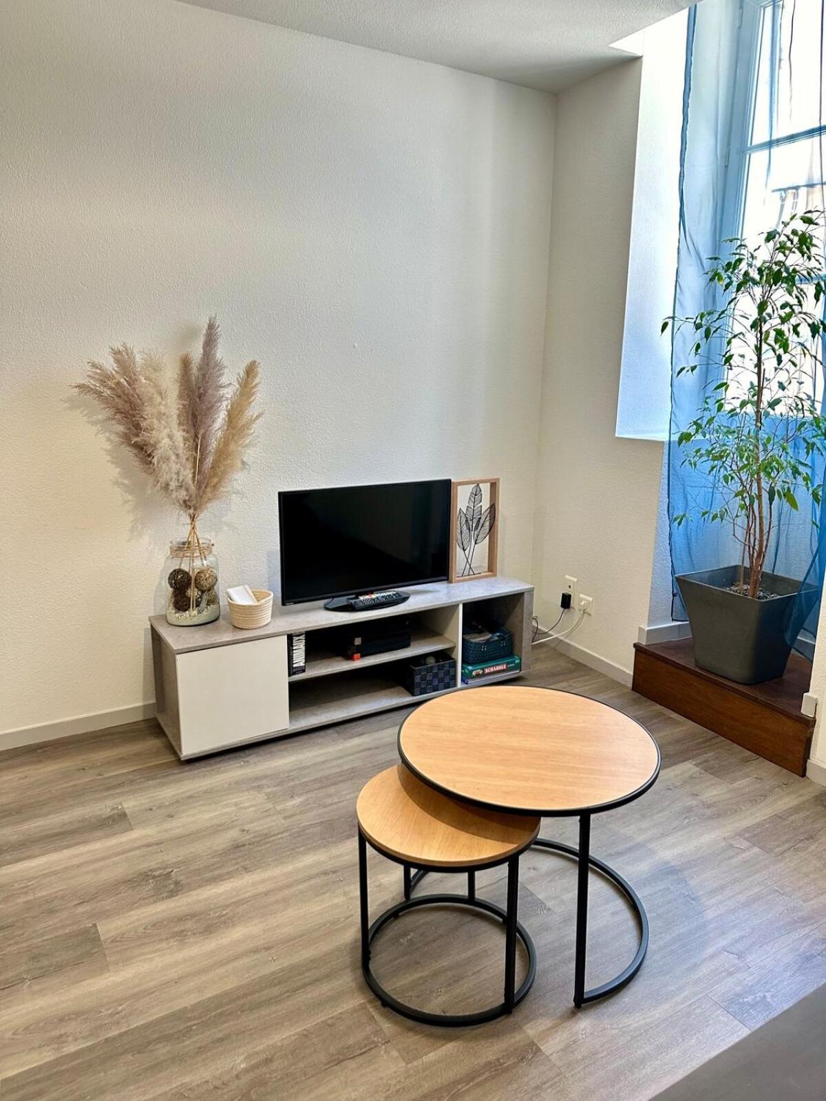 Appartement Calme Au Coeur De La Ville ロン・ル・ソーニエ エクステリア 写真